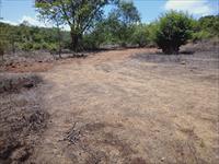 Agricultural Plot / Land for sale in Mahad, Raigad