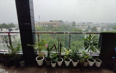 3 Bedroom Farm House for sale in Sikri, Faridabad