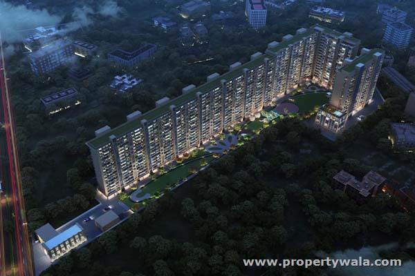 Project - Night View
