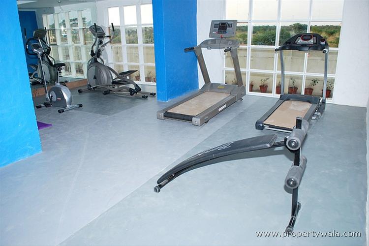 Gymnasium