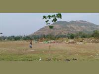 Agriculture land for sale in Raigad