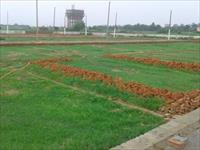 Land for sale in Om Kunj Ph-2, Dadri, Gautam Budh Nagar