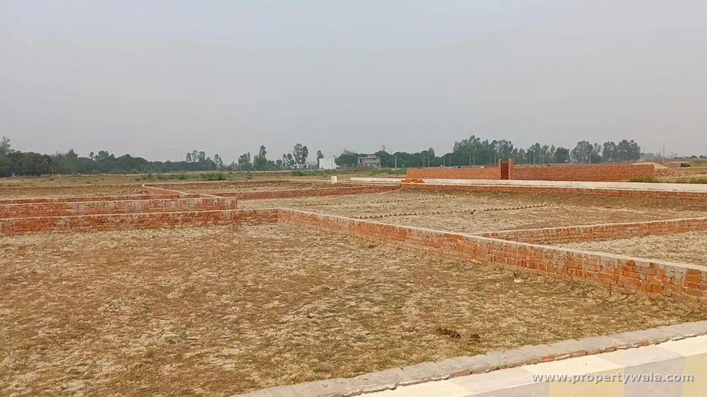 Side View