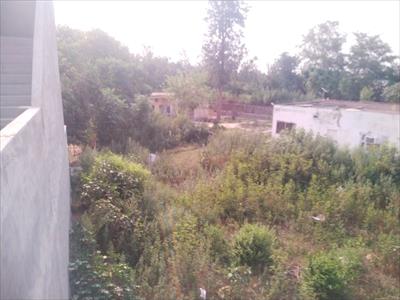Residential Land for sale in Garhshankar, Hoshiarpur