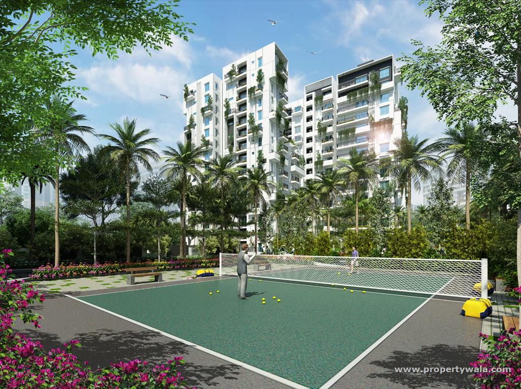 Amenities