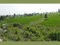 Raipur - Patan Durg location Road - On Road Highway Agricultural land He has to sell