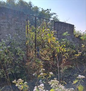 Residential Land for sale in Takatpur, Baripada