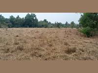 4 acre table land in Mangaon
