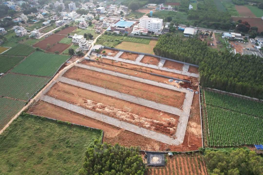 plot Pic