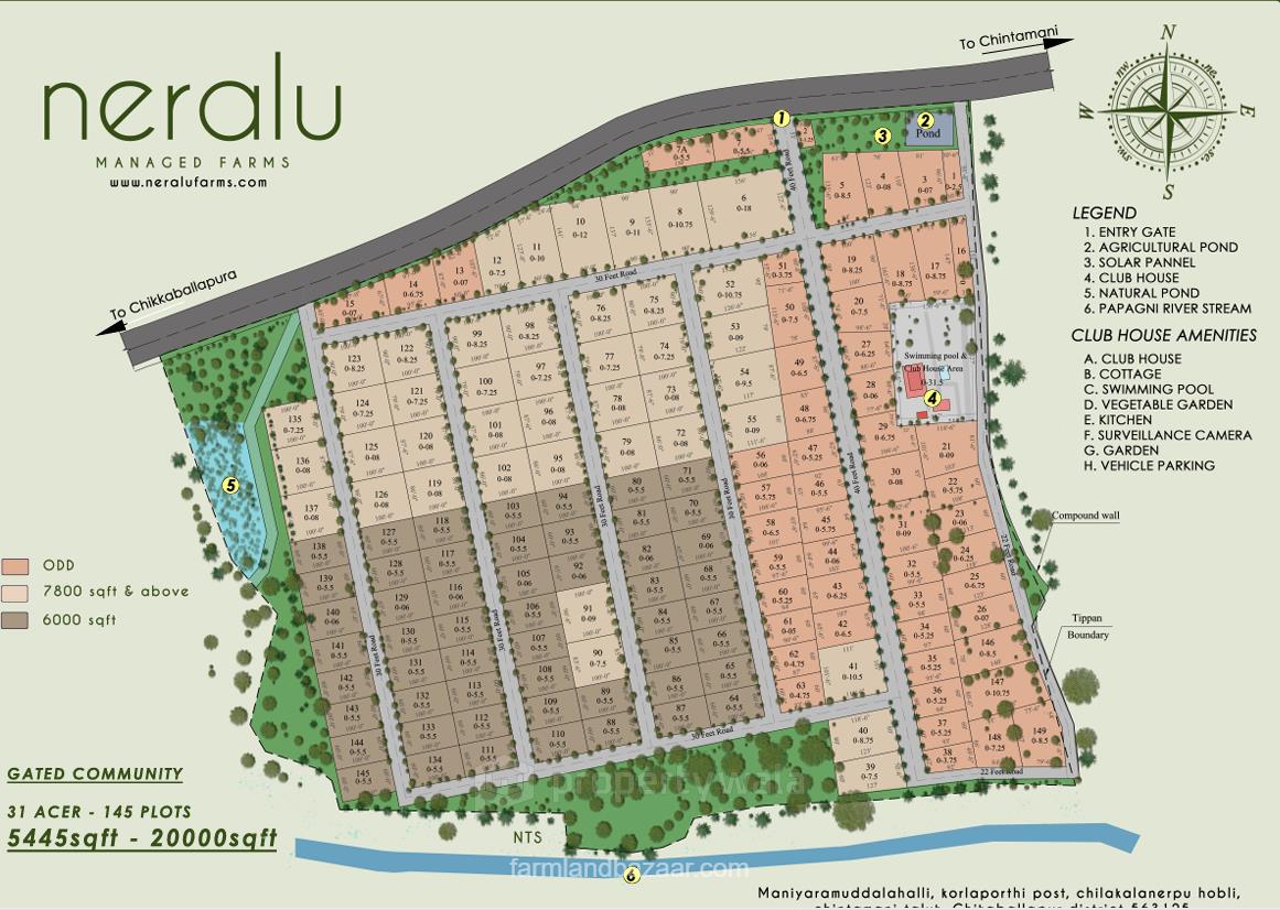 Site Plan