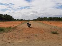 Dry agri land for sale near Chettipalayam