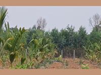 Agricultural Plot / Land for sale in Mysore Road area, Bangalore
