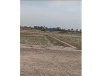 Residential Plot / Land for sale in Bhopani Village, Faridabad