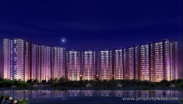 Night View