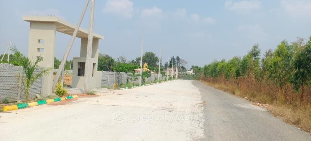 Road View