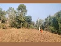 Agricultural Plot / Land for sale in Debari, Udaipur