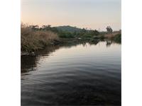 River touch agricultural land for sale in Sangameshwar - Ratnagiri Konkan
