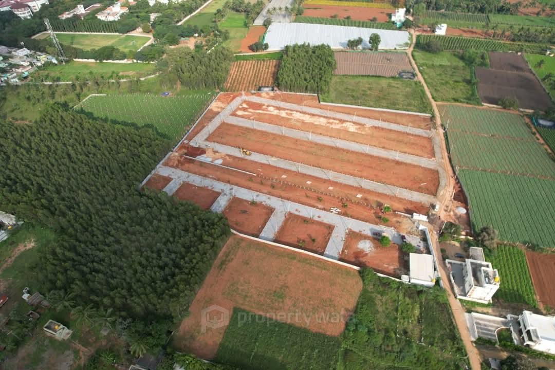 plot Pic
