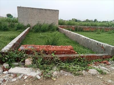 Residential Land for sale in Sector 115, Noida