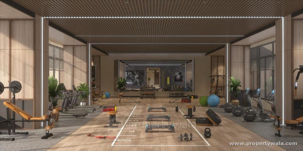 Gymnasium