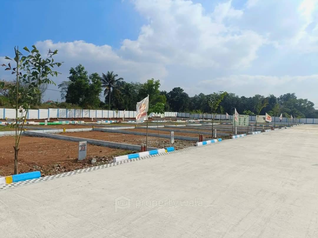 plot Pic