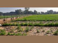 Agricultural Plot / Land for sale in Sohna Road area, Faridabad