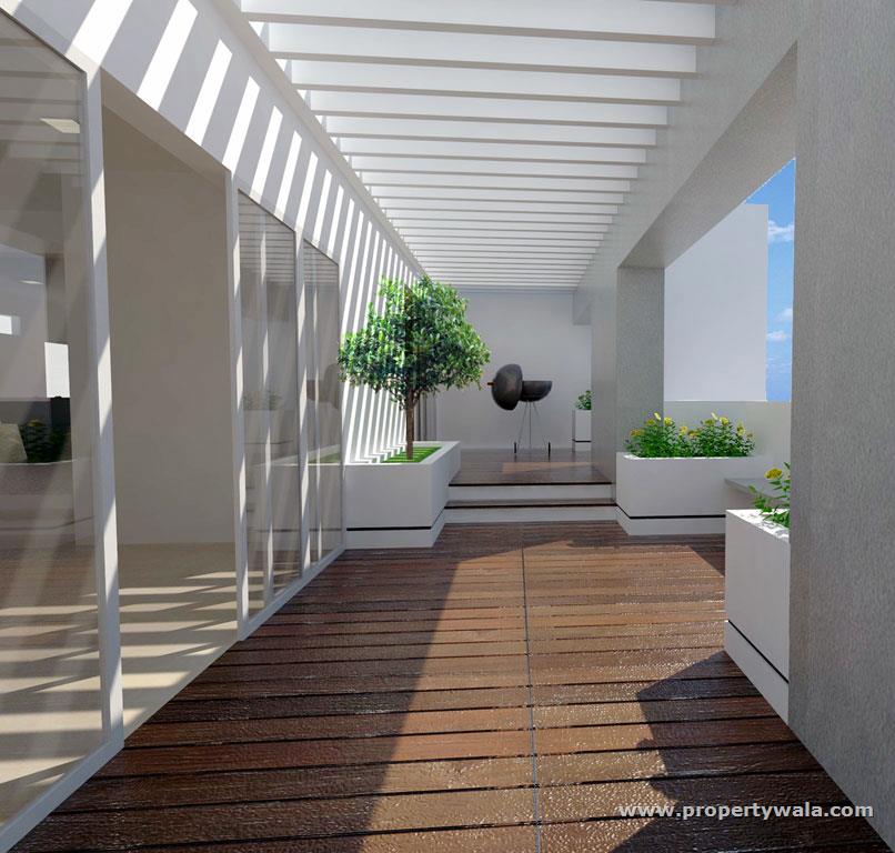 Terrace Area