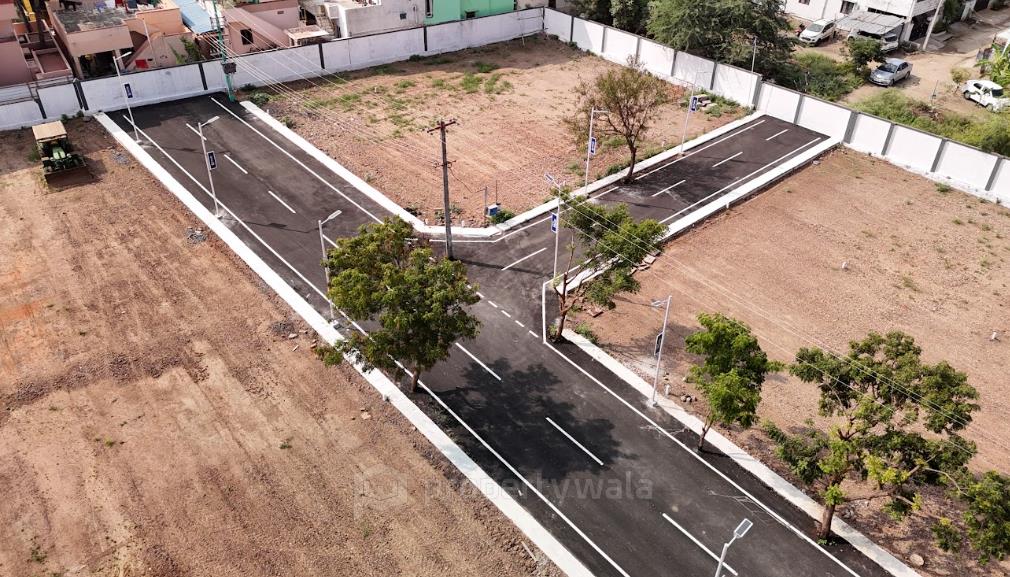 Road View