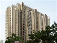 Ready to move 4 BHK Builder Floor in DLF Golf Course Road for Sale