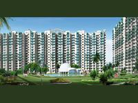 2 Bedroom Flat for sale in Supertech Ecovillage I, Noida Extension, Greater Noida
