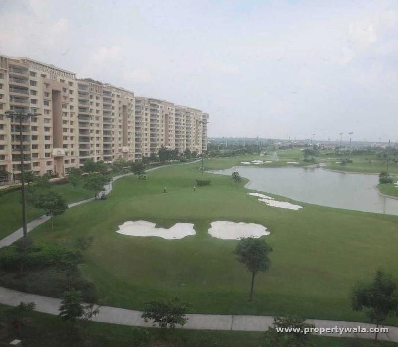 7 Bedroom Apartment / Flat for sale in Ambience Caitriona, DLF City Phase III, Gurgaon
