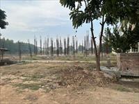 Land for sale in TDI Kingston Square, Sector 110, Mohali