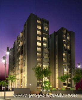 Night View