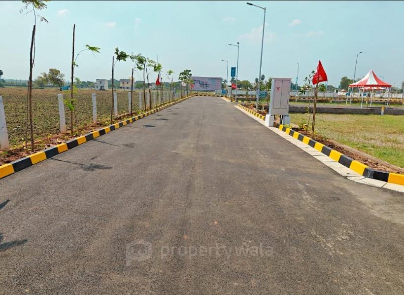 Road View