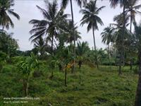 Agricultural Plot / Land for sale in Madampatti, Coimbatore