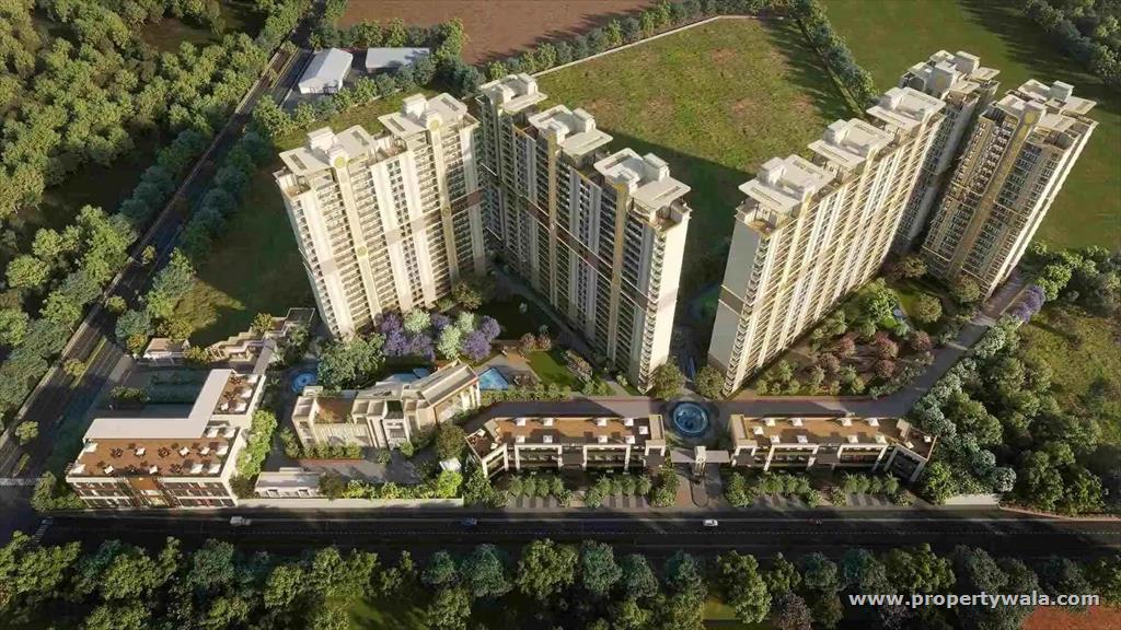 Project - Aerial View