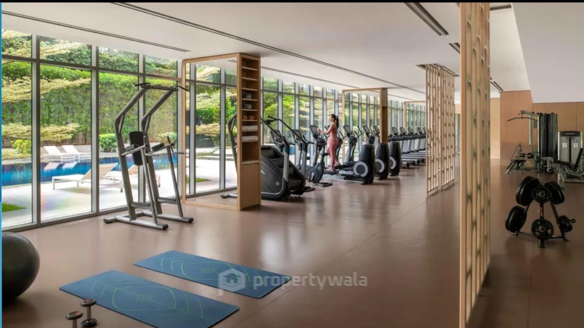 Project - Gymnasium