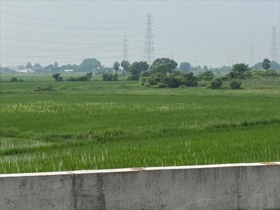 Agricultural Land for sale in Janappanchatram, Chennai