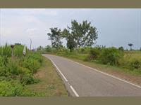 Agri Land for sale in Kanakapura Road area, Bangalore