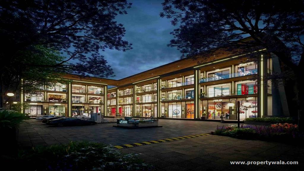 Project - Night View