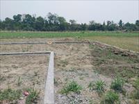 Residential Plot / Land for sale in Raipur, Dehradun