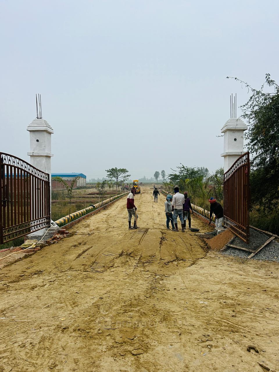 Front View