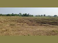 Residential premium plot for sale in nagalvadi hingna nagpur.