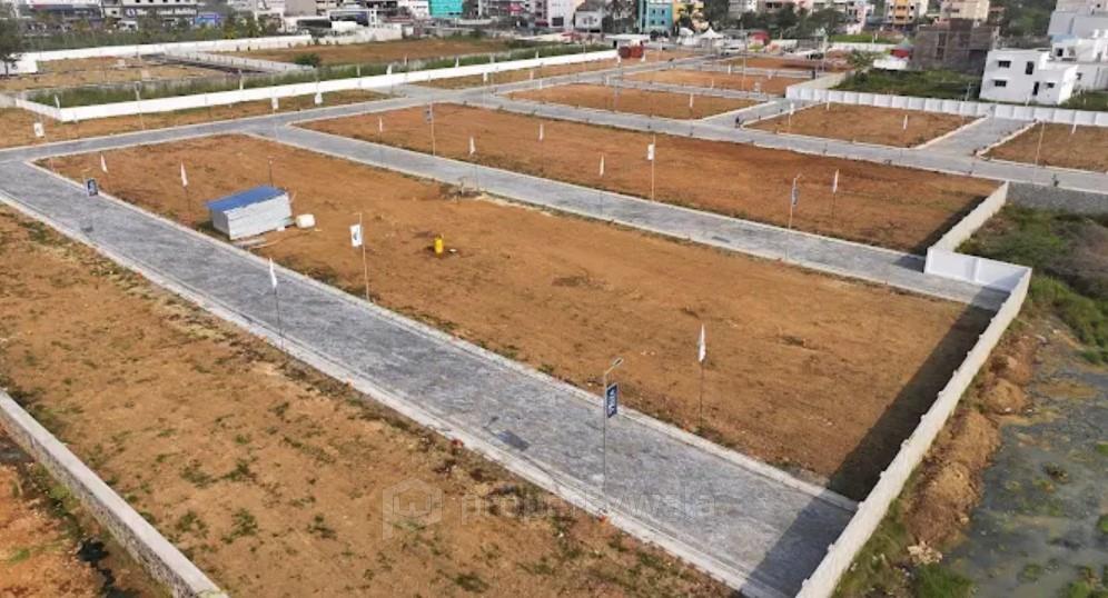 Plot View