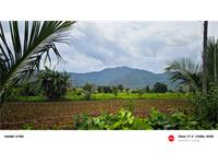 Agricultural Plot / Land for sale in Mysore Road area, Bangalore