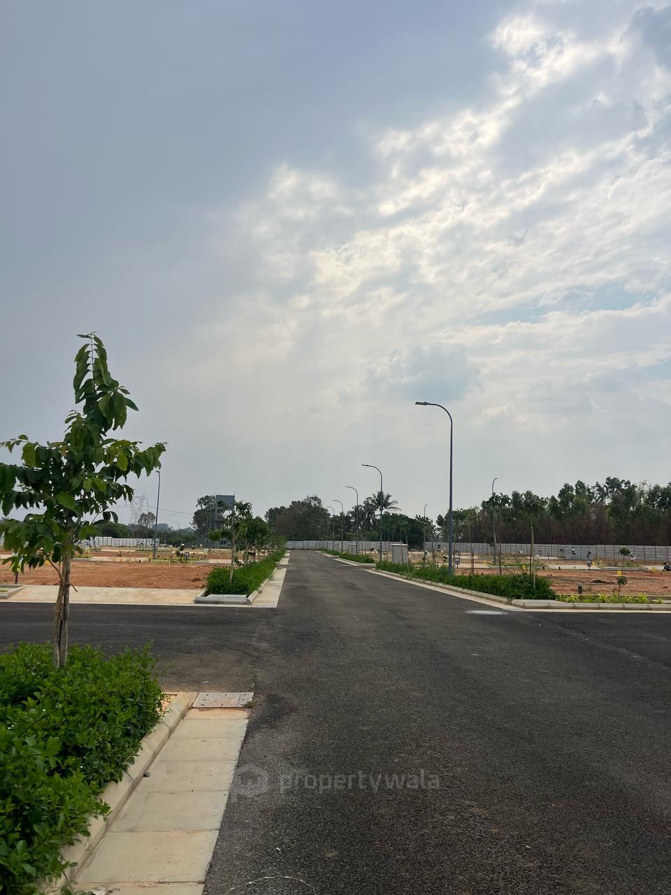 Tar Road