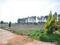 Land for sale in Peninsula Pine Woods, Sarjapur, Bangalore