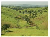 Agri Land for sale in Indo-Canadian Antelope Hills, Nagar Road area, Pune
