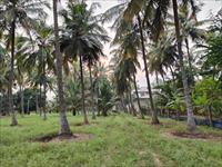 farm land for sale near Thondamuthur