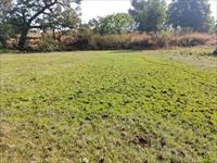 Agricultural Plot / Land for sale in Mangaon, Raigad